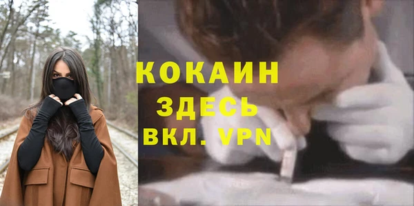 дмт Абинск