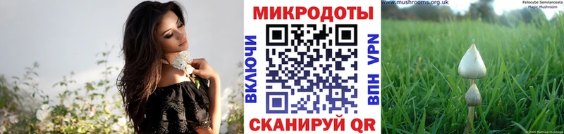 Псилоцибиновые грибы мицелий  Шахты 